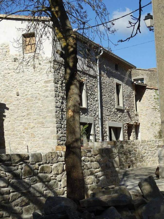 Villa Misanid Ecrin De Verdure A 15Mm De La Cite De Carcassonne Mas-des-Cours Kültér fotó